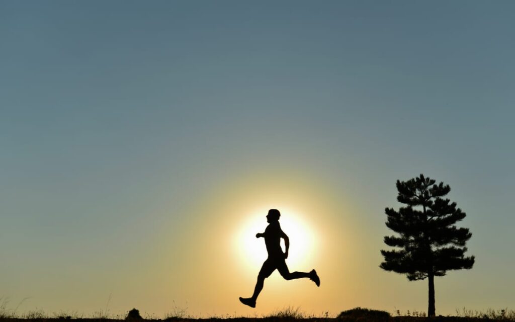 CBD und Herz-Kreislauf-Gesundheit: Können natürliche Heilmittel helfen? CBD und Herz-Kreislauf-Gesundheit