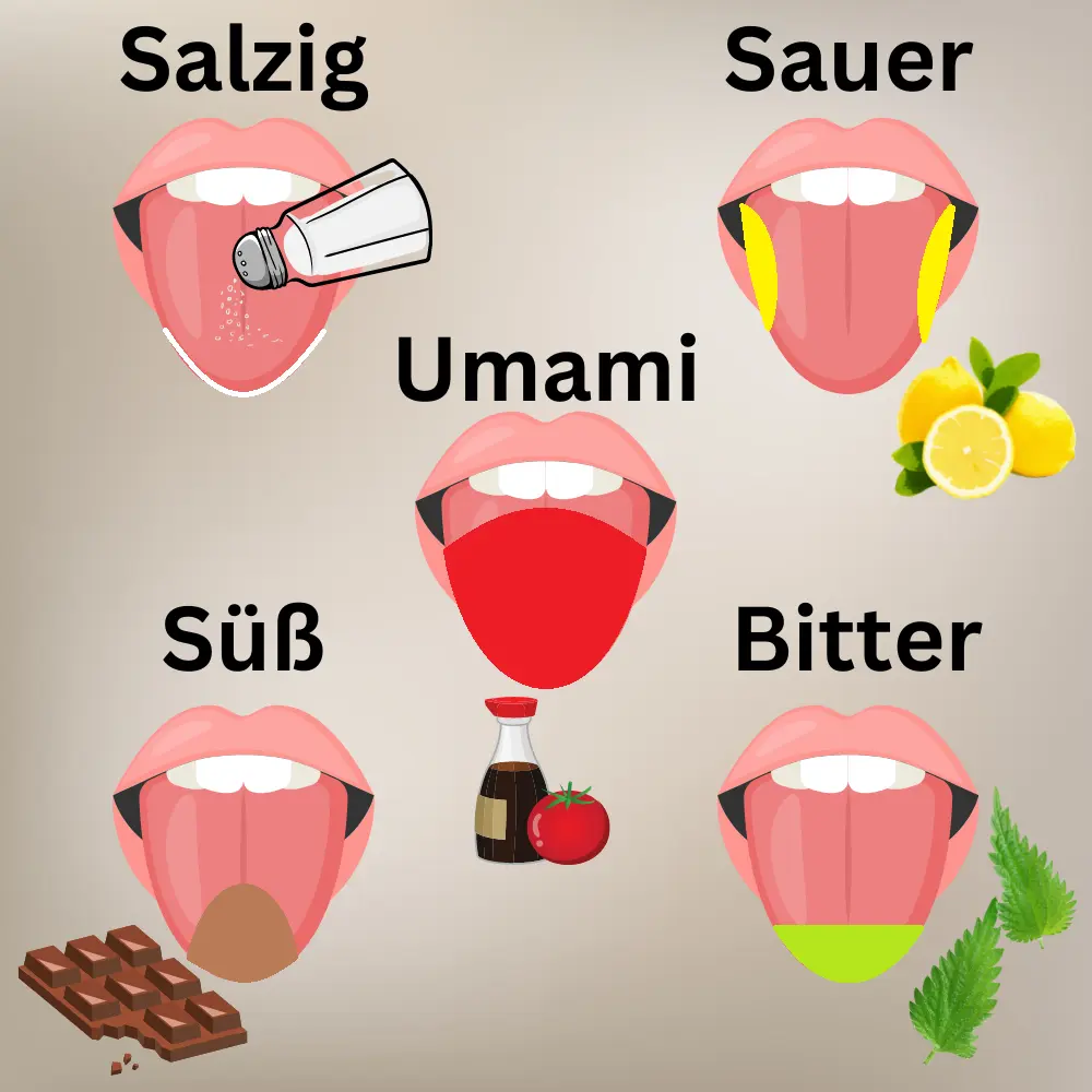 Bitter oder aromatisch: Warum Temperatur und Ziehzeit über den Geschmack entscheiden Bitter oder aromatisch: Warum Temperatur und Ziehzeit über den Geschmack entscheiden